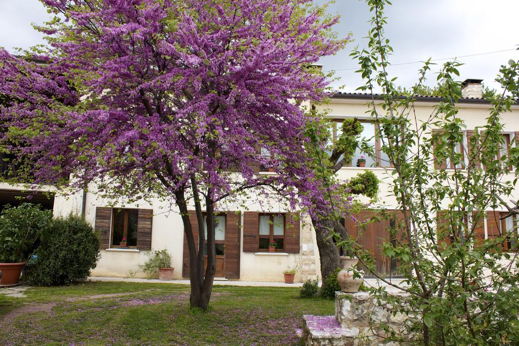 B&B Alte Paderno del Grappa ภายนอก รูปภาพ