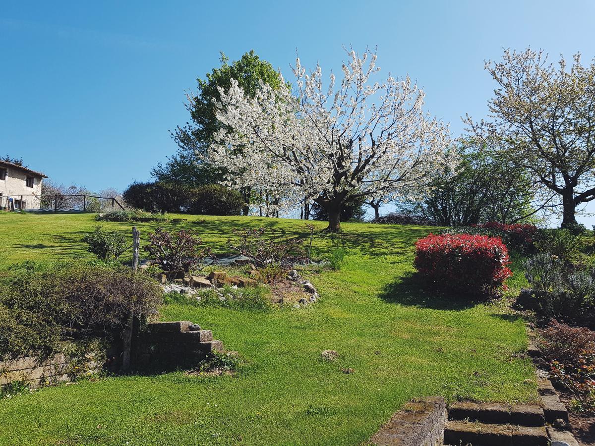 B&B Alte Paderno del Grappa ภายนอก รูปภาพ