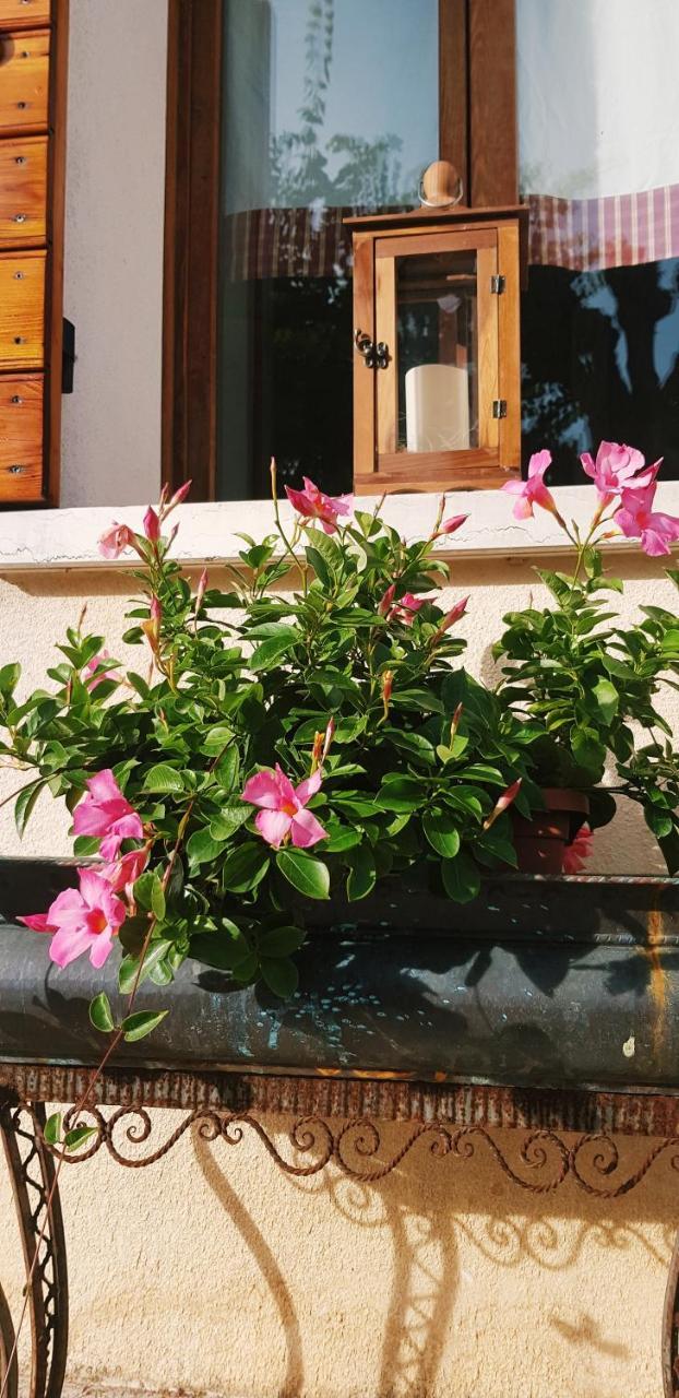 B&B Alte Paderno del Grappa ภายนอก รูปภาพ